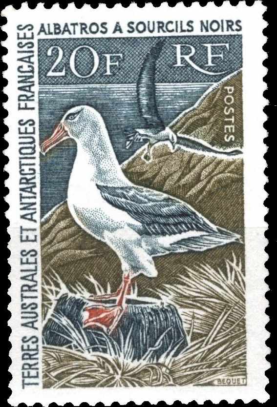 TAAF STAMP Black-browed Albatross (Diomedea malanophris)